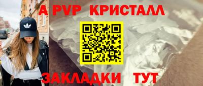 крисы Донской