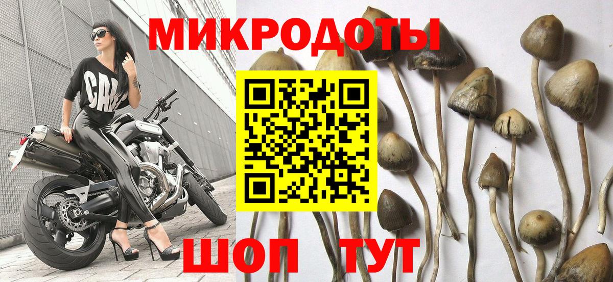 Псилоцибиновые грибы Magic Shrooms  Псилоцибиновые грибы Psilocybine cubensis  где продают   Вход с VPN  Гусиноозёрск 