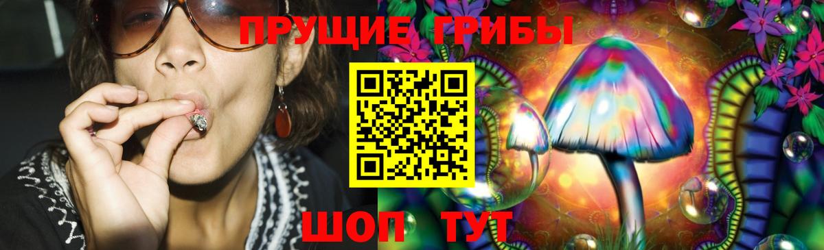 Псилоцибиновые грибы GOLDEN TEACHER Гусиноозёрск